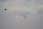 223 2375 crw.jpg