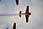 224 2424 crw.jpg