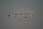 224 2463 crw.jpg