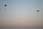 225 2599 crw.jpg
