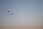 226 2601 crw.jpg