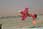 060112 240 4069 crw.jpg