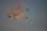 090130 303 0373 crw.jpg