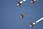 090130 307 0716 crw.jpg