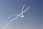 090130 307 0757 crw.jpg