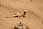 Crw 6971.jpg
