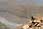 201 0107 crw.jpg