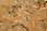 201 0112 crw.jpg
