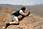 201 0117 crw.jpg