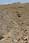 201 0118 crw.jpg