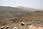 201 0126 crw.jpg