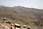 201 0127 crw.jpg