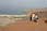 201 0155 crw.jpg