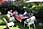 080511 276 7632 crw.jpg