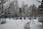 080126 276 7603 crw.jpg