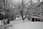 080126 276 7604 crw.jpg