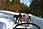 090408 318 1898 crw.jpg