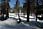 090408 319 1931 crw.jpg