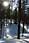 090408 319 1932 crw.jpg