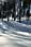 090408 319 1935 crw.jpg