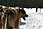 090408 320 2010 crw.jpg