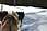 090408 320 2011 crw.jpg