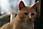 090411 322 2212 crw.jpg