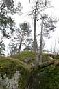 090405 317 1725 crw.jpg