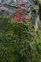 090405 317 1736 crw.jpg