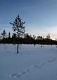 090406 317 1782 crw.jpg