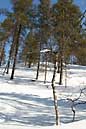090408 319 1937 crw.jpg