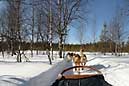 090408 320 2067 crw.jpg