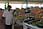 210 1059 crw.jpg