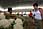 210 1084 crw.jpg