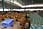 211 1117 crw.jpg