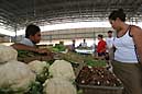 210 1084 crw.jpg
