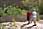 162 6229 crw.jpg