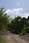 162 6236 crw.jpg