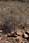 162 6241 crw.jpg
