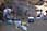 162 6248 crw.jpg