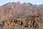 162 6269 crw.jpg