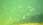 162 6276 crw.jpg