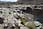 162 6281 crw.jpg