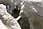 162 6283 crw.jpg