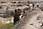 162 6295 crw.jpg