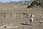 164 6432 crw.jpg