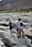 164 6438 crw.jpg
