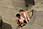 164 6461 crw.jpg