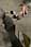 164 6462 crw.jpg