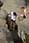164 6463 crw.jpg
